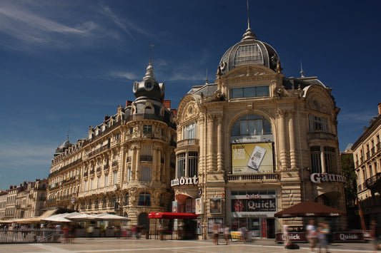Acupuncteur Montpellier